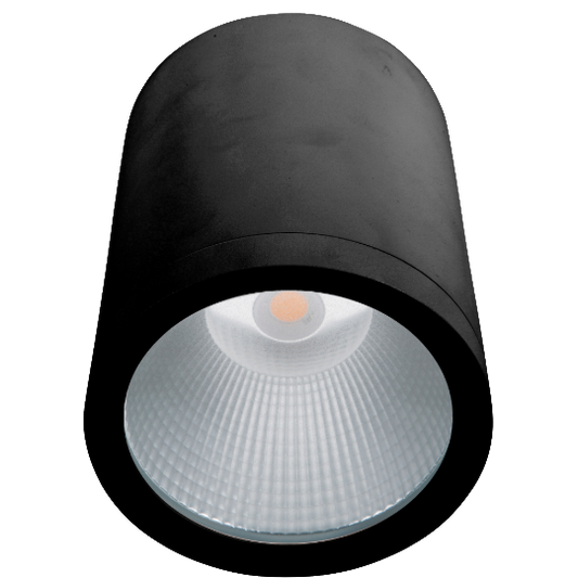 Modus IP65 Surface Mounted Downlight