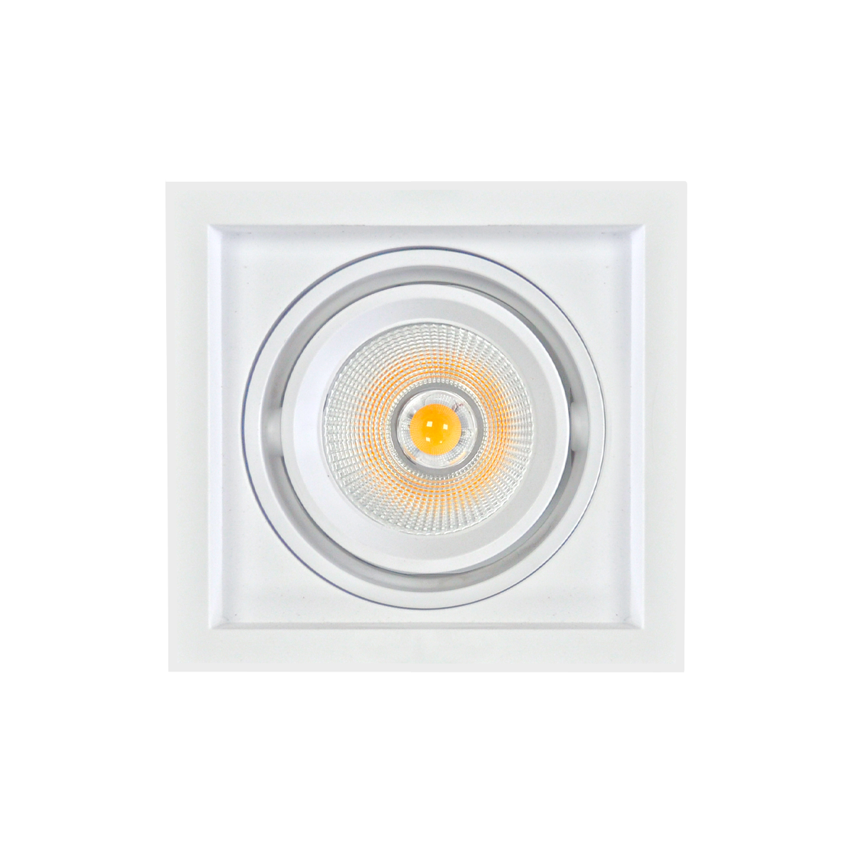 Protium Single Light Downlight