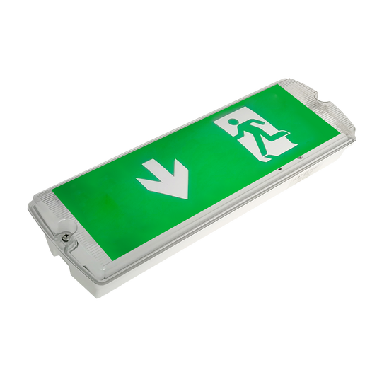 Salus II Exit Bulkhead