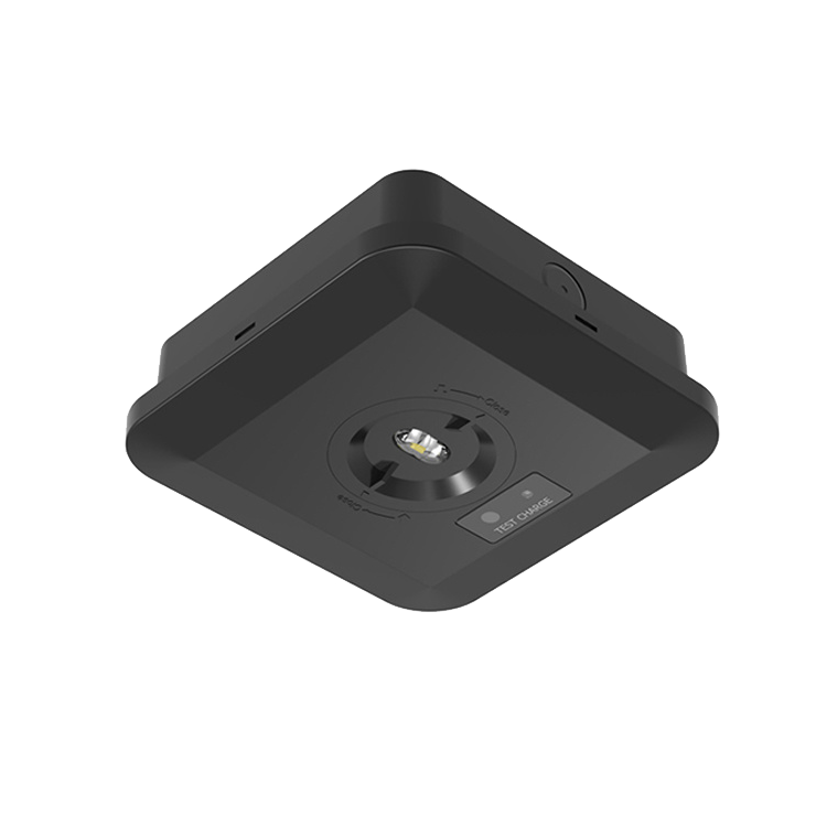 Black Square Emergency Downlight Soar