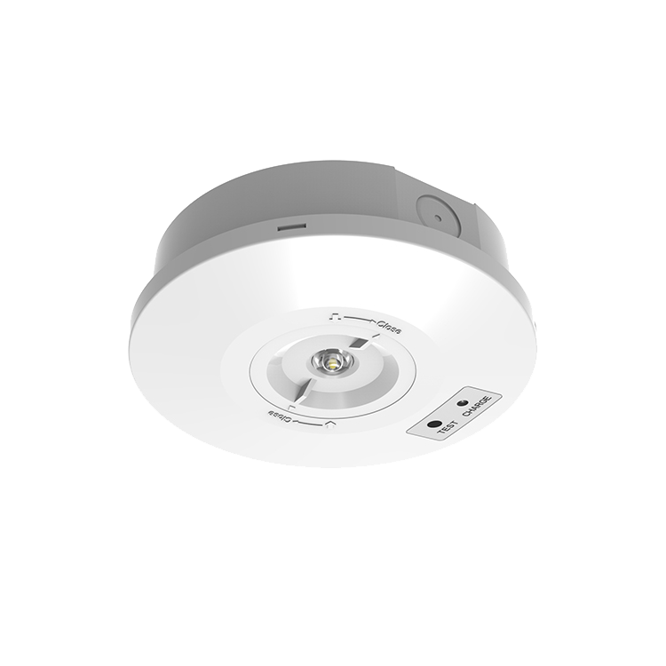 Round Emergency Downlight in white with white background