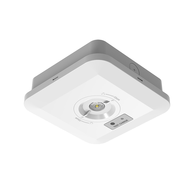 White Square Emergency Downlight with white background