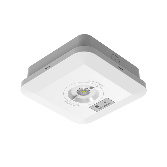 White Square Emergency Downlight with white background
