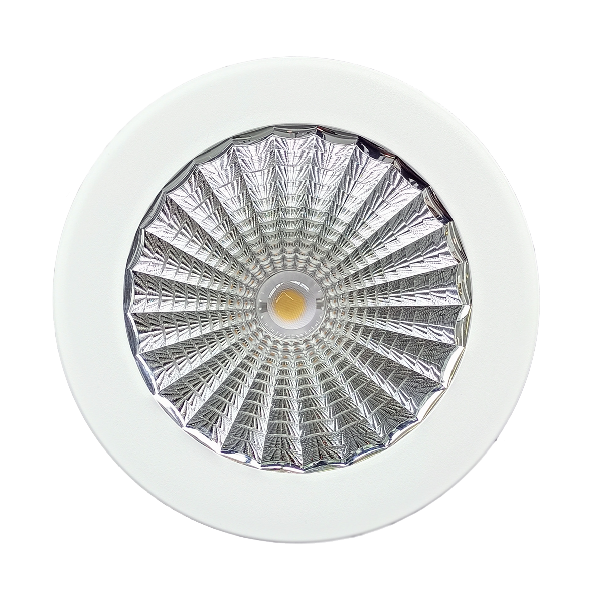Downlight with white trim and clear glass shade on a white background