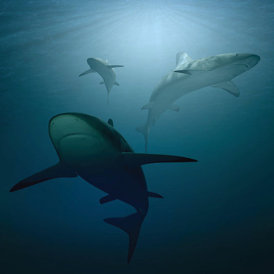 Customisable Panel Lights