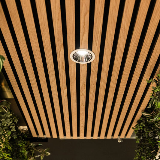 Endor Architectural Downlight