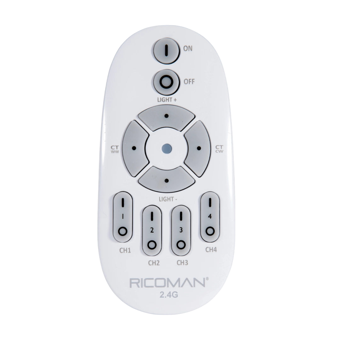 R3/Centorio Downlights Remote Control