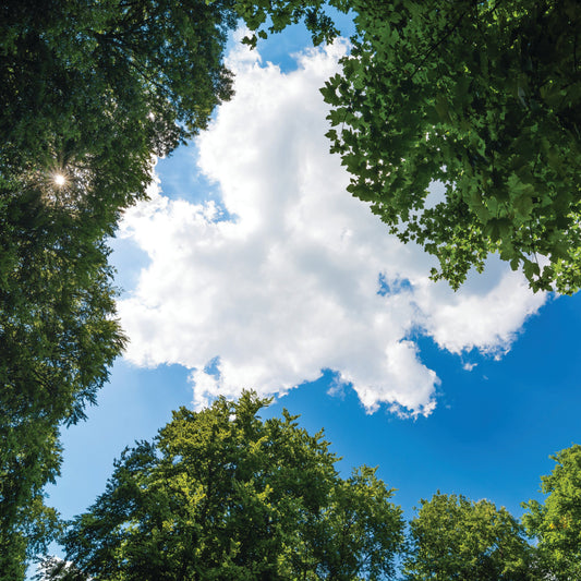 Customisable Panel Lights