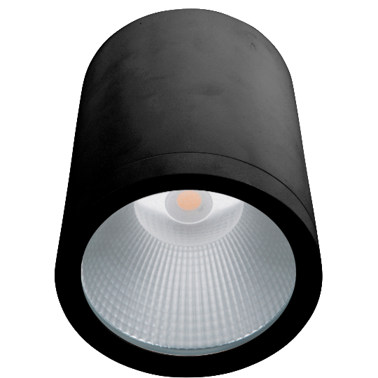 Modus IP65 Surface Mounted Downlight