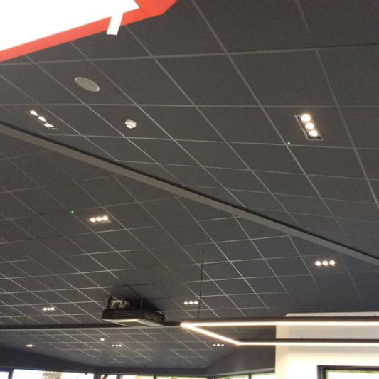 Protium Gimbal Downlight