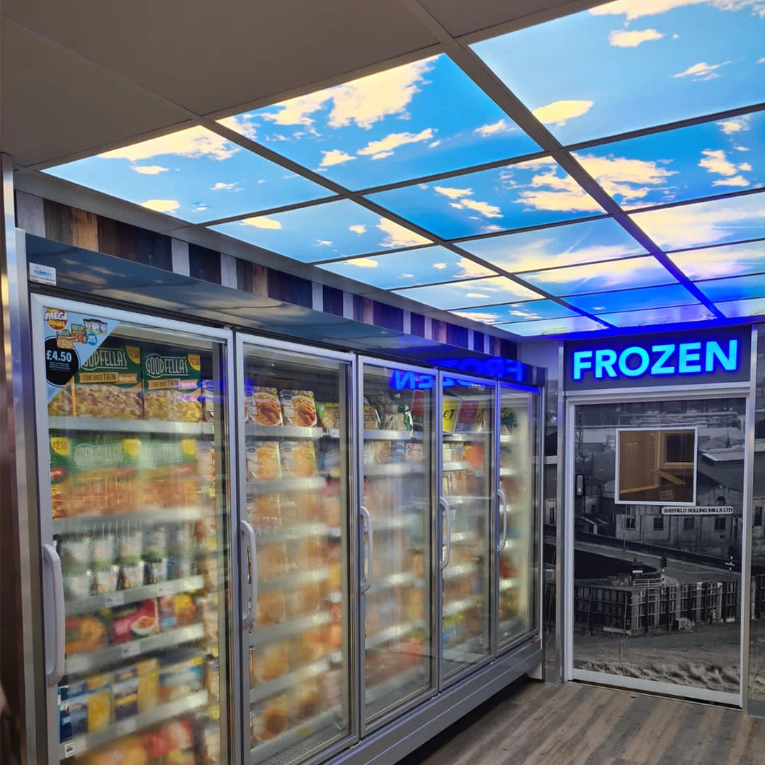 Frozen food section with sky ceiling effect in a store